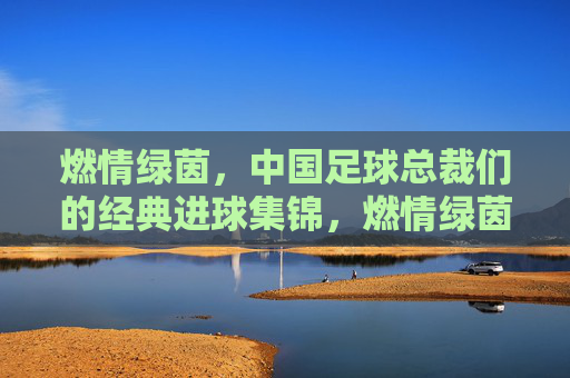 燃情绿茵，中国足球总裁们的经典进球集锦，燃情绿茵，中国足球总裁经典进球集锦