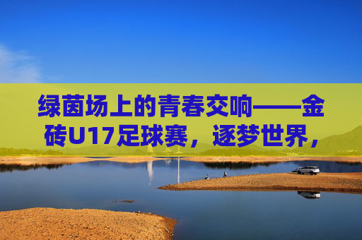 绿茵场上的青春交响——金砖U17足球赛,逐梦世界,共筑未来,金砖U17足球赛,绿茵青春交响,逐梦未来