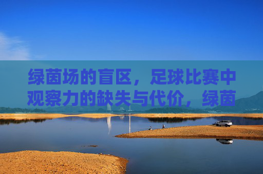 绿茵场的盲区,足球比赛中观察力的缺失与代价,绿茵场盲区,观察力缺失的代价