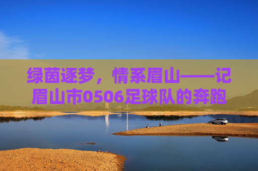 绿茵逐梦，情系眉山——记眉山市0506足球队的奔跑与热爱，绿茵逐梦，情系眉山——记眉山市0506足球队的奔跑与热爱
