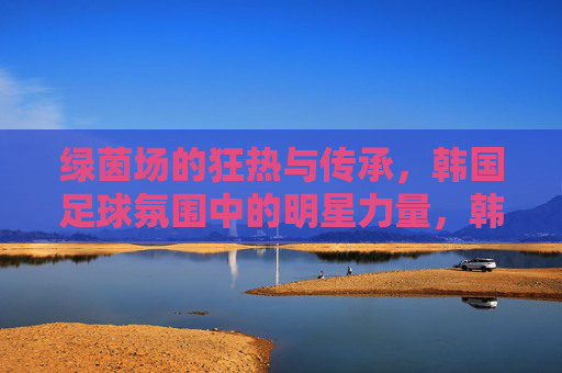 绿茵场的狂热与传承,韩国足球氛围中的明星力量,韩国足球,狂热传承中的明星力量
