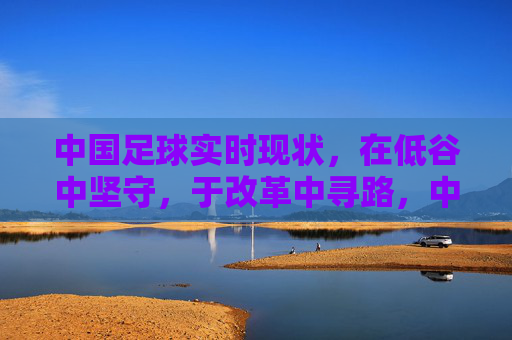 中国足球实时现状,在低谷中坚守,于改革中寻路,中国足球,低谷坚守,改革寻路