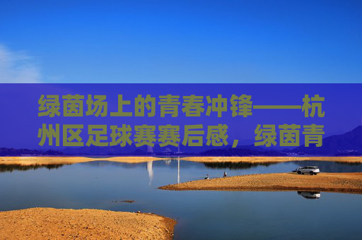 绿茵场上的青春冲锋——杭州区足球赛赛后感,绿茵青春冲锋