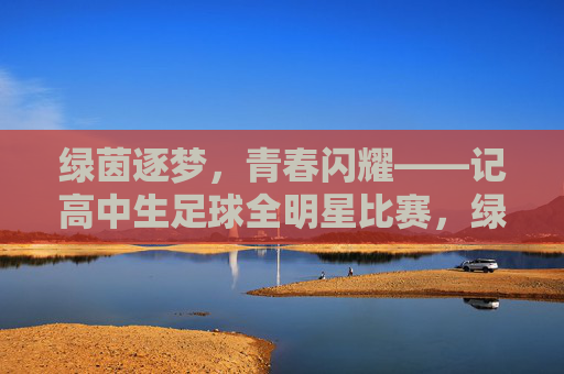 绿茵逐梦，青春闪耀——记高中生足球全明星比赛，绿茵逐梦，青春闪耀——高中生足球全明星赛