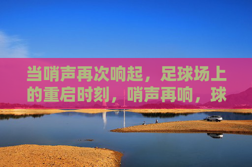 当哨声再次响起,足球场上的重启时刻,哨声再响,球场重启