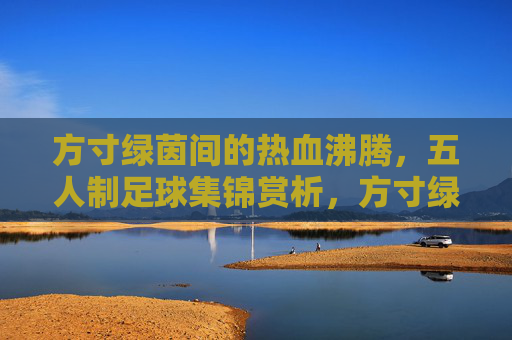 方寸绿茵间的热血沸腾，五人制足球集锦赏析，方寸绿茵热血沸，五人制足球集锦赏析