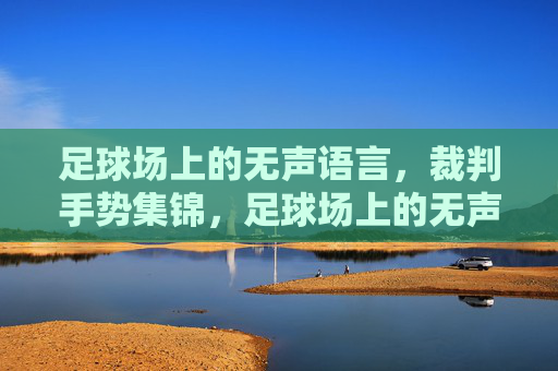 足球场上的无声语言，裁判手势集锦，足球场上的无声语言，裁判手势集锦
