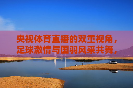 央视体育直播的双重视角,足球激情与国羽风采共舞,央视体育直播双重视角,足球激情与国羽风采共舞