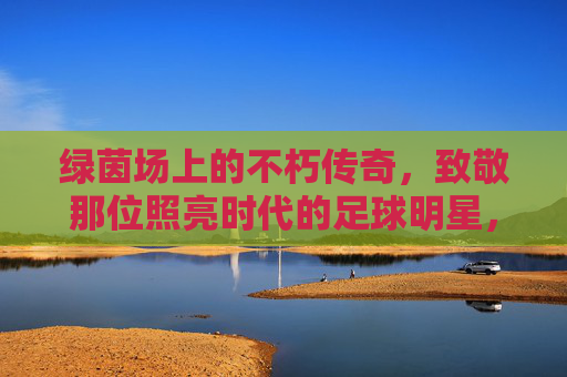 绿茵场上的不朽传奇,致敬那位照亮时代的足球明星,绿茵不朽传奇,照亮时代的足球星辰