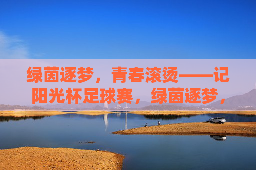 绿茵逐梦,青春滚烫——记阳光杯足球赛,绿茵逐梦,青春滚烫——阳光杯足球赛