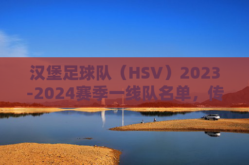 汉堡足球队（HSV）2023-2024赛季一线队名单，传承与活力的交织，汉堡HSV 2023-2024赛季一线队名单，传承与活力的交织