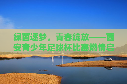 绿茵逐梦,青春绽放——西安青少年足球杯比赛燃情启幕,绿茵逐梦,青春绽放,西安青少年足球杯燃情启幕