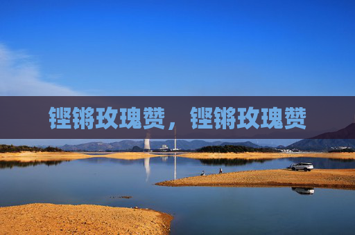 铿锵玫瑰赞,铿锵玫瑰赞