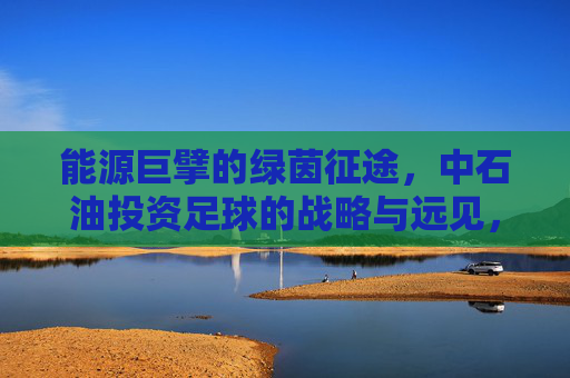 能源巨擘的绿茵征途,中石油投资足球的战略与远见,能源巨擘的绿茵棋局,中石油足球投资战略与远见