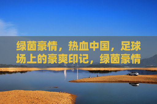 绿茵豪情,热血中国,足球场上的豪爽印记,绿茵豪情,热血中国印记
