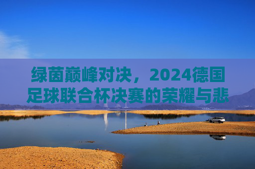 绿茵巅峰对决,2024德国足球联合杯决赛的荣耀与悲情,2024德国足球联合杯决赛,巅峰对决的荣耀与悲情