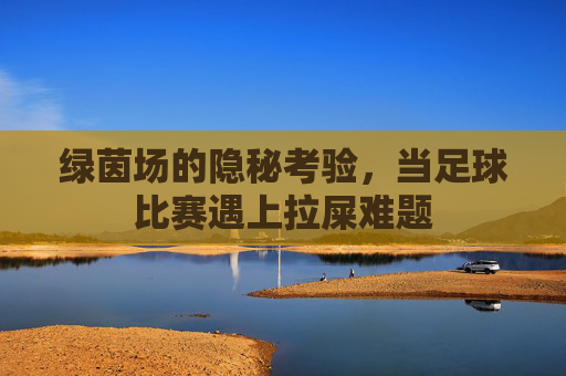 绿茵场的隐秘考验,当足球比赛遇上拉屎难题