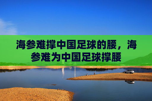 海参难撑中国足球的腰,海参难为中国足球撑腰