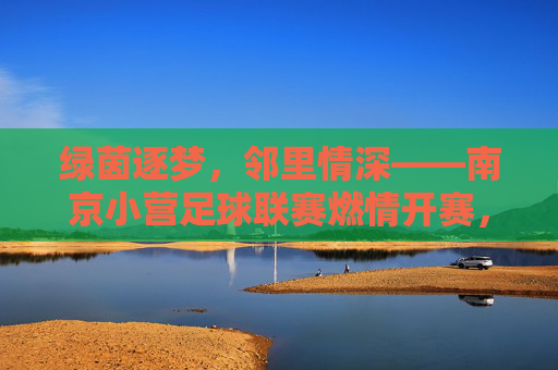 绿茵逐梦，邻里情深——南京小营足球联赛燃情开赛，南京小营邻里足球联赛燃情开赛