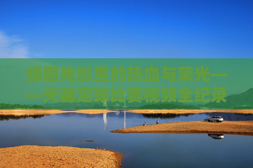绿茵光影里的热血与荣光——天馨足球比赛视频全纪录，天馨足球，绿茵光影里的热血荣光