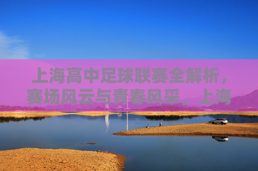 上海高中足球联赛全解析,赛场风云与青春风采,上海高中足球联赛,赛场风云映青春风采