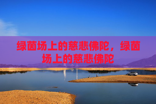 绿茵场上的慈悲佛陀,绿茵场上的慈悲佛陀