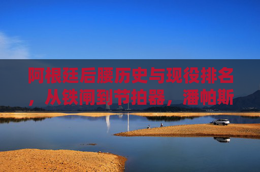 阿根廷后腰历史与现役排名，从铁闸到节拍器，潘帕斯的钢铁脊梁，阿根廷后腰历史现役排名，铁闸到节拍器的钢铁脊梁