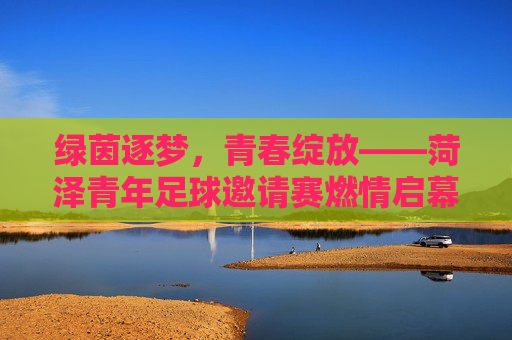 绿茵逐梦,青春绽放——菏泽青年足球邀请赛燃情启幕,菏泽青年足球邀请赛,绿茵逐梦,青春绽放
