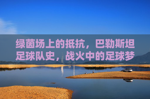 绿茵场上的抵抗,巴勒斯坦足球队史,战火中的足球梦,战火中的绿茵抵抗,巴勒斯坦足球梦