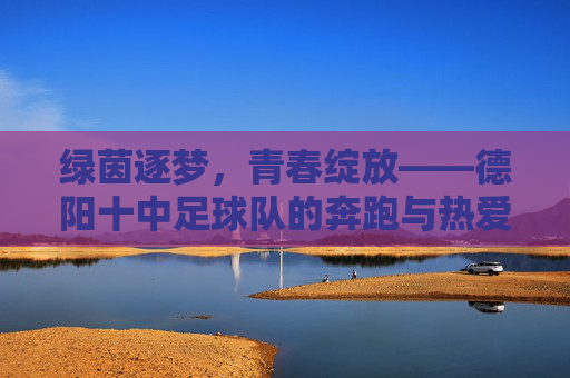绿茵逐梦，青春绽放——德阳十中足球队的奔跑与热爱，绿茵逐梦，青春奔跑——德阳十中足球队的热爱