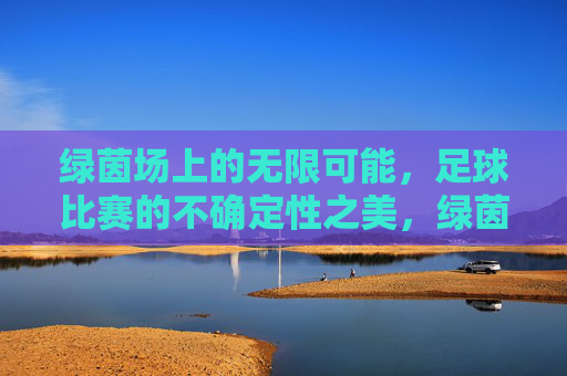 绿茵场上的无限可能，足球比赛的不确定性之美，绿茵场上的无限可能，足球比赛的不确定性之美