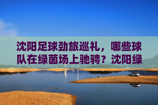 沈阳足球劲旅巡礼，哪些球队在绿茵场上驰骋？沈阳绿茵劲旅巡礼