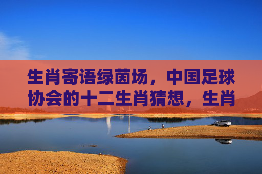 生肖寄语绿茵场，中国足球协会的十二生肖猜想，生肖寄语绿茵场，中国足协十二生肖猜想