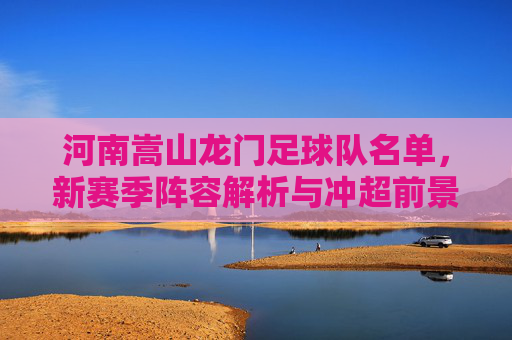 河南嵩山龙门足球队名单,新赛季阵容解析与冲超前景展望,河南嵩山龙门新赛季阵容解析与冲超前景展望
