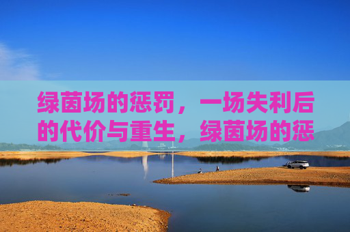 绿茵场的惩罚,一场失利后的代价与重生,绿茵场的惩罚,失利的代价与重生