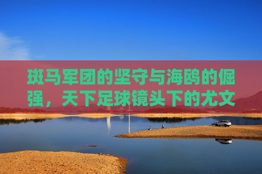 斑马军团的坚守与海鸥的倔强，天下足球镜头下的尤文图斯vs热那亚，斑马坚守对海鸥倔强，天下足球镜头下的尤文图斯vs热那亚