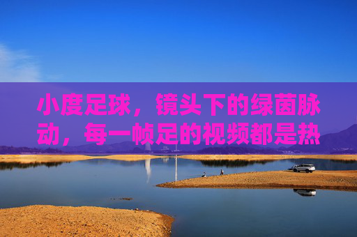 小度足球,镜头下的绿茵脉动,每一帧足的视频都是热血回响,小度足球,帧帧热血,镜头下的绿茵脉动