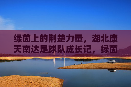 绿茵上的荆楚力量,湖北康天南达足球队成长记,绿茵铸就荆楚力量,湖北康天南达足球队成长记