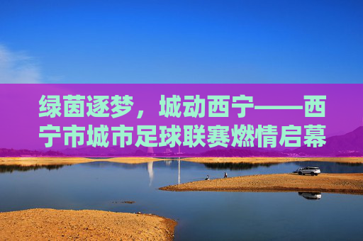 绿茵逐梦,城动西宁——西宁市城市足球联赛燃情启幕,绿茵逐梦,城动西宁——西宁市城市足球联赛燃情启幕