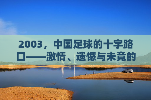 2003，中国足球的十字路口——激情、遗憾与未竟的征途，2003，中国足球的十字路口——激情、遗憾与未竟的征途