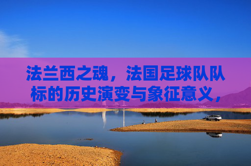 法兰西之魂,法国足球队队标的历史演变与象征意义,法兰西之魂,法国足球队标的历史演变与象征