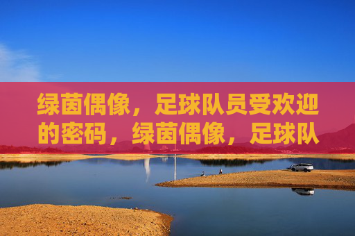 绿茵偶像,足球队员受欢迎的密码,绿茵偶像,足球队员受欢迎的密码