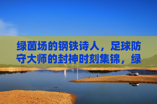 绿茵场的钢铁诗人,足球防守大师的封神时刻集锦,绿茵场钢铁诗人,足球防守大师封神时刻