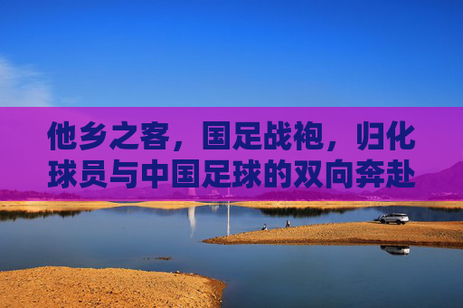 他乡之客，国足战袍，归化球员与中国足球的双向奔赴，他乡客，国足袍，归化球员与中国足球的双向奔赴