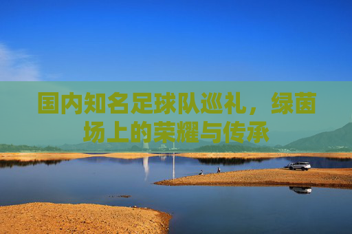 国内知名足球队巡礼,绿茵场上的荣耀与传承