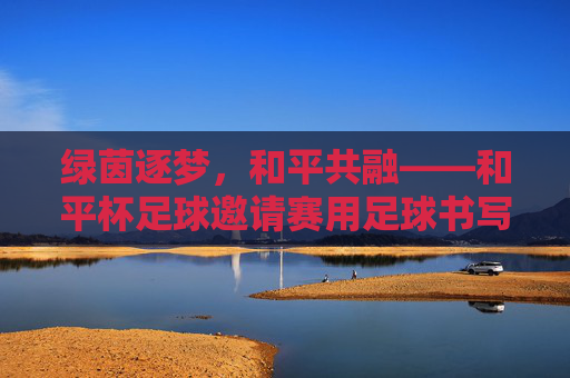 绿茵逐梦,和平共融——和平杯足球邀请赛用足球书写友谊诗篇,绿茵逐梦,友谊共融——和平杯足球邀请赛