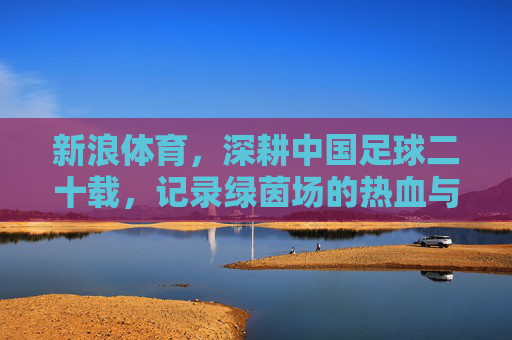 新浪体育，深耕中国足球二十载，记录绿茵场的热血与遗憾，新浪体育深耕中国足球二十载，记录绿茵热血与遗憾