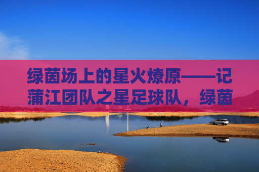 绿茵场上的星火燎原——记蒲江团队之星足球队，绿茵星火燎原，蒲江团队之星足球队