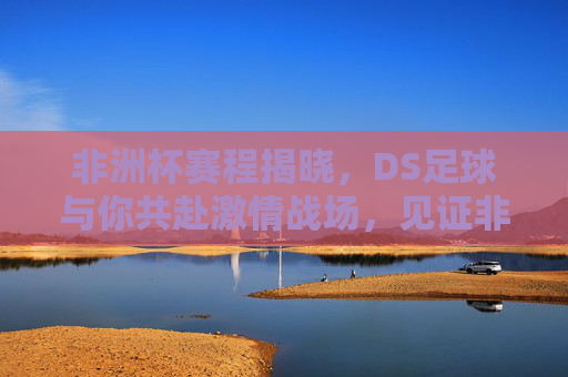 非洲杯赛程揭晓，DS足球与你共赴激情战场，见证非洲足坛巅峰对决，DS足球携非洲杯赛程，共赴激情巅峰对决