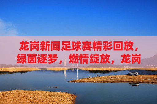 龙岗新闻足球赛精彩回放,绿茵逐梦,燃情绽放,龙岗足球赛精彩回放,绿茵逐梦燃情绽放